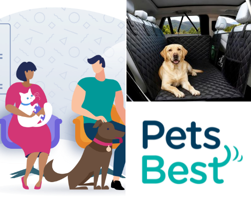 Best Pet Insurance 2026: Compare Free Quotes for Dogs & Cats cover photo collage
