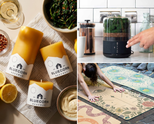 Nova Nest cover photo collage