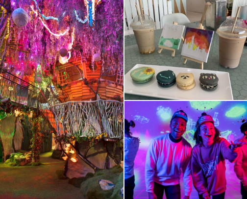 Fun things to do in Houston Tx cover photo collage