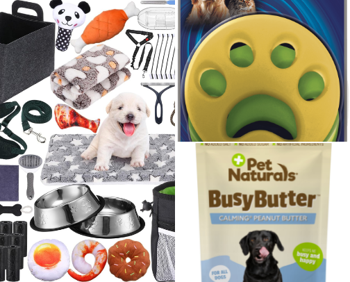 Pet Essentials cover photo collage
