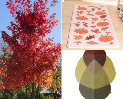 Autumn season 🍁🍂 cover photo collage