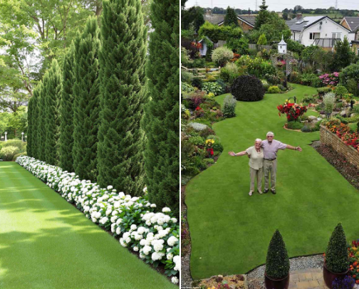 Garden ideas cover photo collage