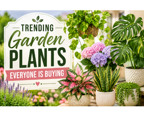 Trending Garden Plants Everyone Is Buying cover photo collage