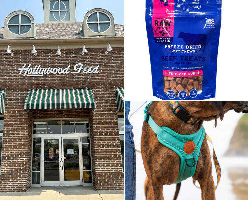 Here for the dogs cover photo collage