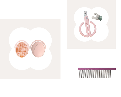 Cat Care ✂️ cover photo collage