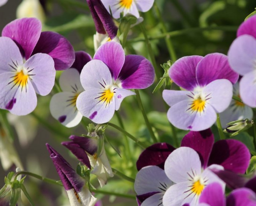 Explore my spring wear 🌼🌼 recommendations for April with me!! cover photo collage