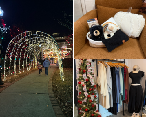 Things to do in North Carolina 🩵 cover photo collage