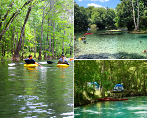 Florida Springs, Sorted: What's Open, What Needs a Reservation, and What's Worth the Drive 💧✨ cover photo collage