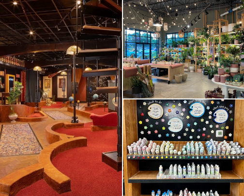 Best places in Charlotte, NC cover photo collage