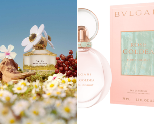 Favorite fragrances 2025 cover photo collage
