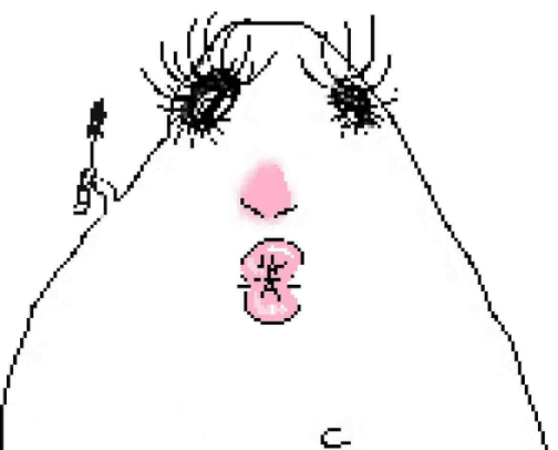 hospital holy grails (makeup) cover photo collage