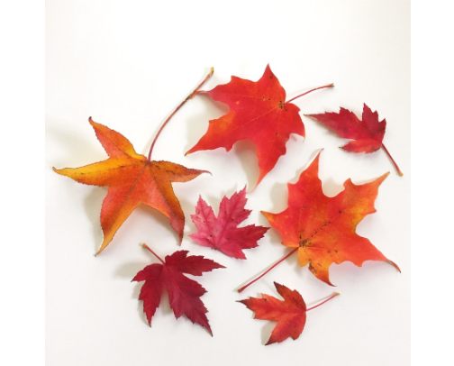 Cozy Fall Decorating Ideas cover photo collage