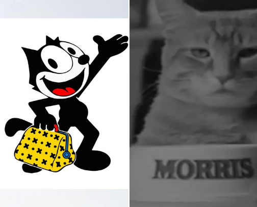 Well-Known ~ Celebrity Cats Who Amuse or Captivate cover photo collage