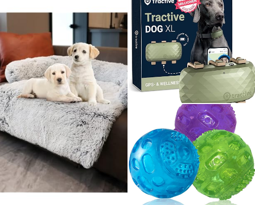 My essential list of must have products for our pets 🐶 🐾 cover photo collage