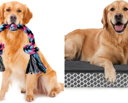 My essential list of must have products for our pets 🐶 🐾 cover photo collage