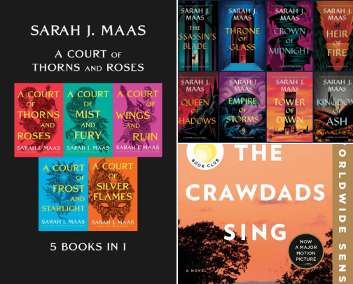 My Page-Turner Book Recs cover photo collage