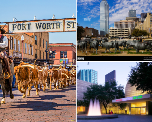 Things to do in Dallas/Fort Worth under $50, I found on the internet.  Check sites. cover photo collage