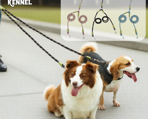 Pet Essentials cover photo collage