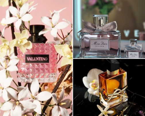 Timeless Perfumes for Every Mood cover photo collage