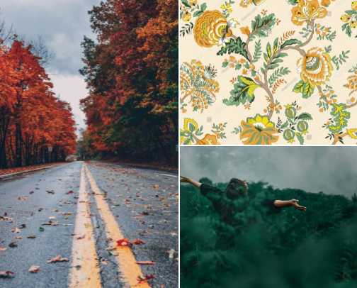 My Secret Stock Photo Source cover photo collage