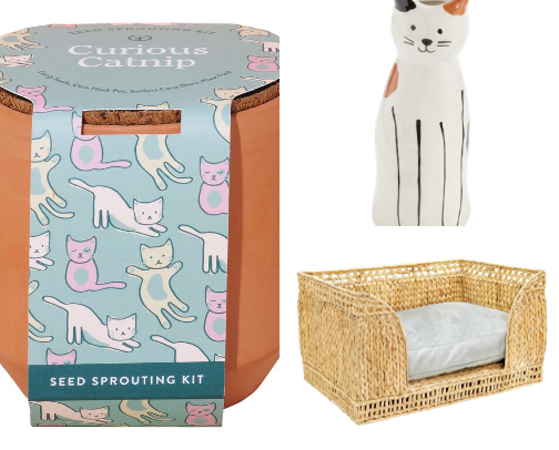 Kitties were your first babies! cover photo collage
