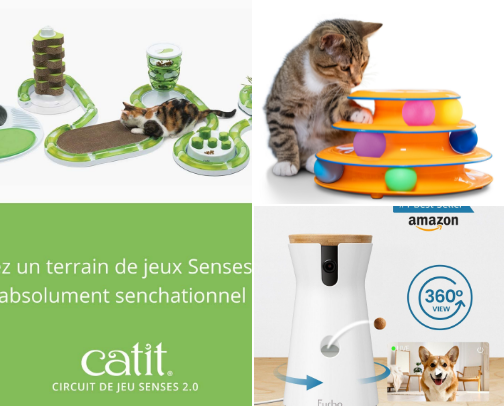 for your pets cover photo collage