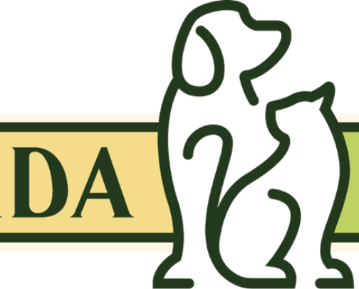 Things to do in Vegas that make you feel good! cover photo collage