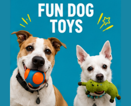 Fun Toys Your Dog Will Love cover photo collage