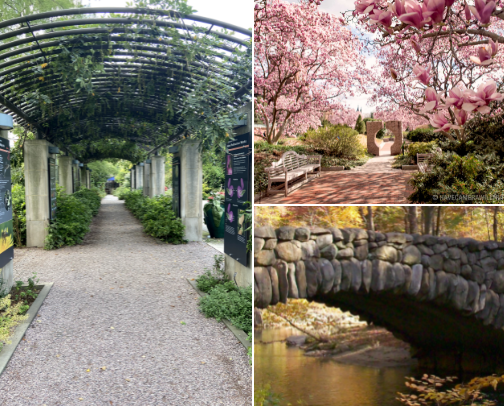 Mellow Moments in DC cover photo collage