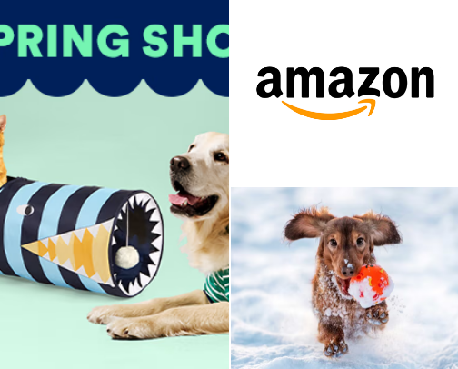 Anything and Everything cover photo collage