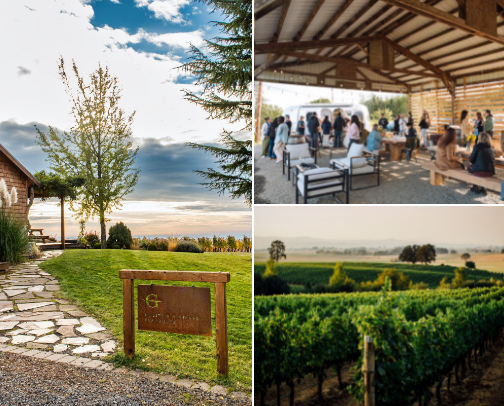 All Things Wine: Willamette Valley Edition cover photo collage