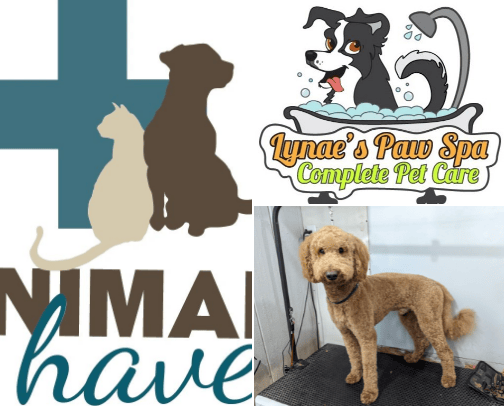 Pet Boarding & Grooming cover photo collage