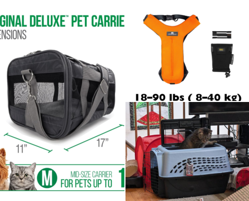 Pet Carriers & Travel Gear: 18 Bestsellers for Safe Trips Together 🐾 cover photo collage