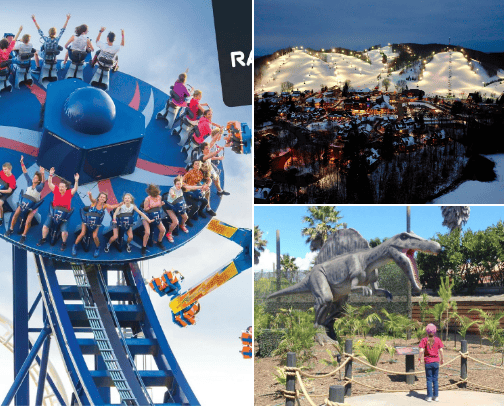 Fun things to do in Tāmaki: Kids addition cover photo collage