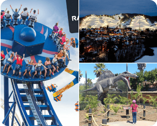 Fun things to do in Tāmaki: Kids addition cover photo collage