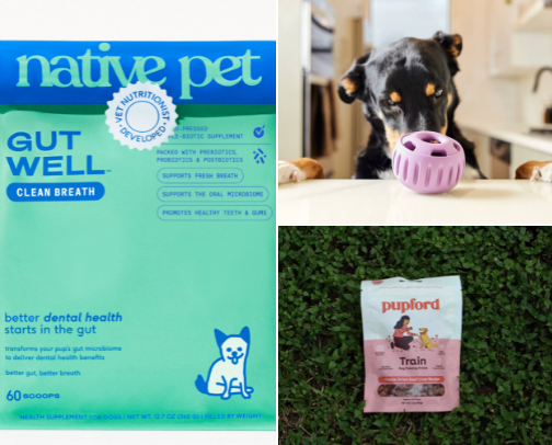 Daily Dog Favorites ⭐️ cover photo collage