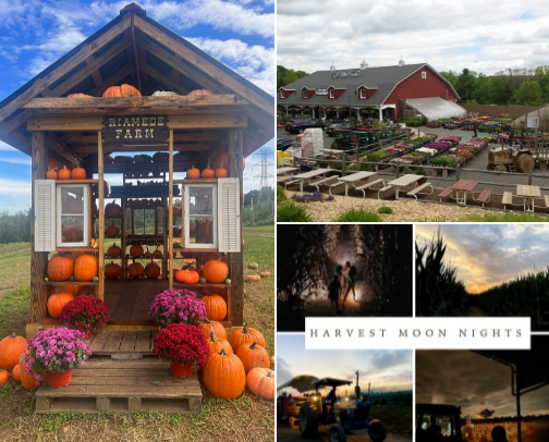 Fall Vibes (things to do, see & eat in NJ) cover photo collage
