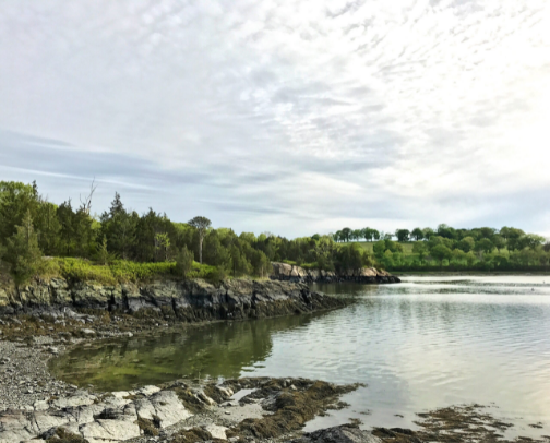Hiking/walking/biking trails (South Shore, Massachusetts) cover photo collage