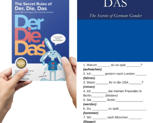 PDF Free - The Secret Rules of Der, Die, Das - German Articles Demystified Guide cover photo collage