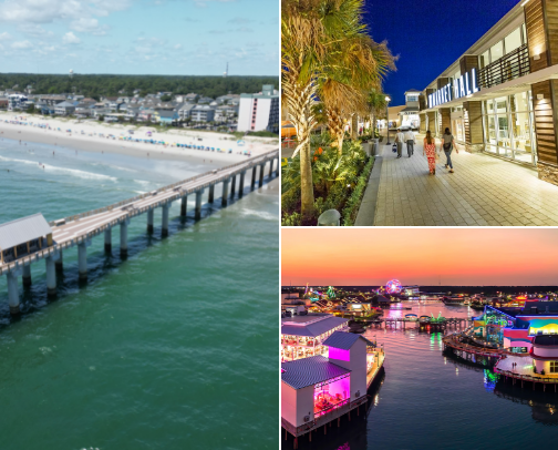 Myrtle Made Me Do it! cover photo collage