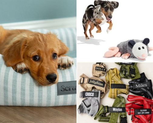 Pet Lover Favorites: Cute Finds, Cozy Comfort & Everyday Essentials cover photo collage