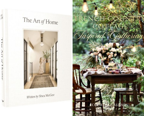 Aesthetically Pleasing Books cover photo collage