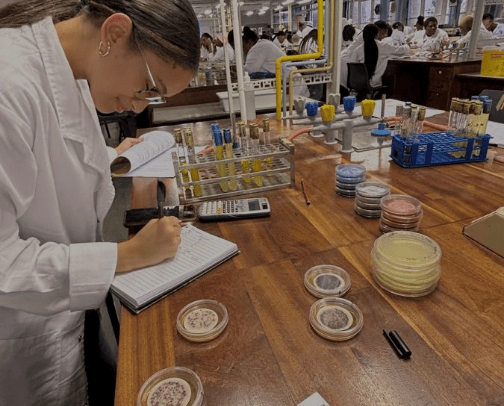 What microbiologyst need regularly cover photo collage