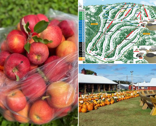 My top local recs cover photo collage