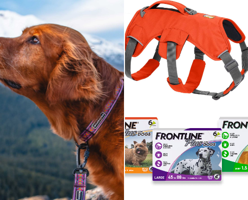 Dog stuff cover photo collage
