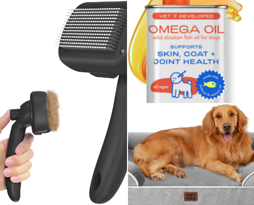 Dog mom favorites cover photo collage