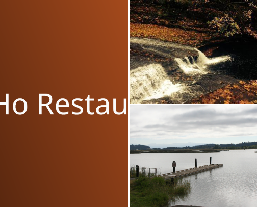 Local Love: My Top Picks in Veneta cover photo collage