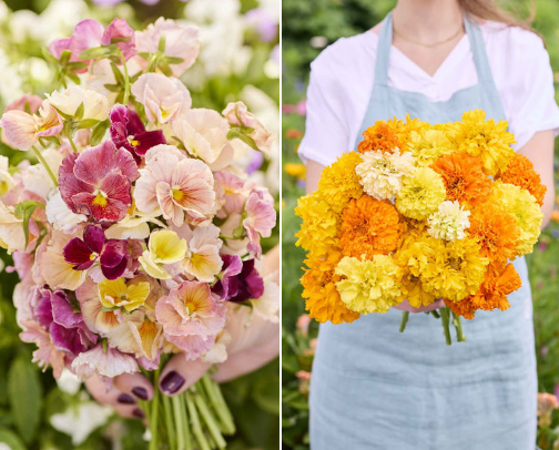 Edible Flowers for Baking, Cocktails & More cover photo collage