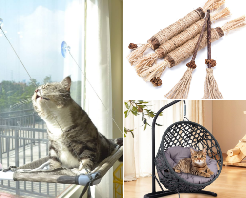 Cats are better!!! cover photo collage