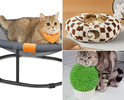 Cats are better!!! cover photo collage